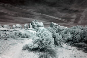 INFRARED COL PLATEAU MAR2019 DAY 03 CANYONLANDS 720 (32) FINAL 06